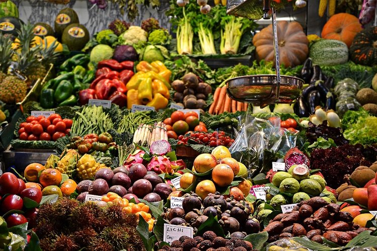 plant based meals