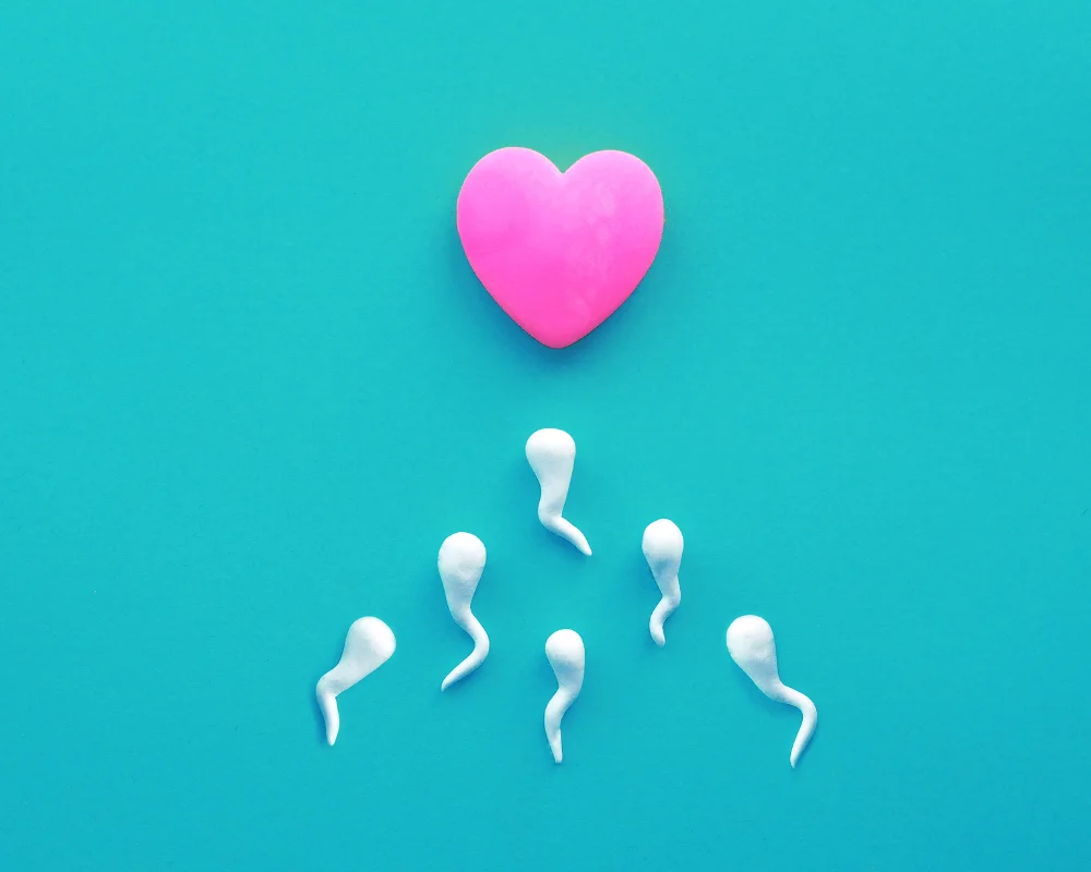 Food that Kills Sperm In The Female Body