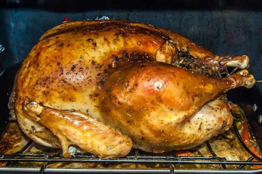 Pavo-Alcaparrado-Thanksgiving-turkey